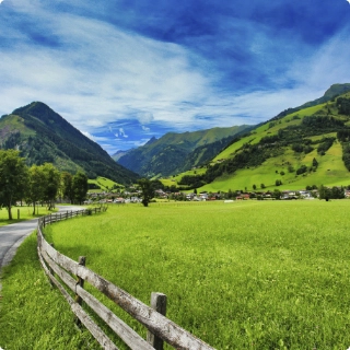 AdobeStock_286250124